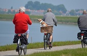 Senior citizens cycling in park